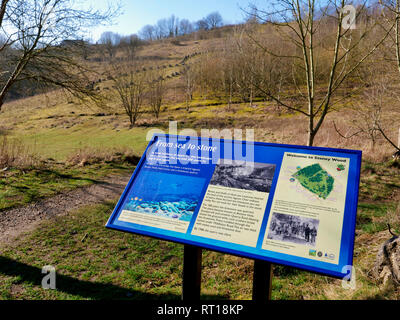 Wirksworth, Derbyshire Dales, UK. 27. Feb 2019. Konkrete Bausteine auf dem Parkplatz platziert Wirksworth Beauty Spot in Besitz von wirksworth Stadt Rates (Arbeit) nach Derbyshire Dales District Council (konservativ) auf einem Standortwechsel BRT Reisenden Camp zu umstrittenen Land neben Stoney Holz, Wirksworth, Derbyshire Dales gestimmt zu schützen. Wirksworth Stadtrat Suchen Rechtliche Hinweise die Bäume zu Testen & schützen, seltene Orchideen und andere Wildtiere in und um diesen Anblick von besonderem wissenschaftlichen Interesse. Quelle: Doug Blane/Alamy leben Nachrichten Stockfoto