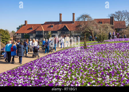 RHS Wisley Gardens, Surrey, England, UK. 27. Februar 2019. Menschenmassen strömen die Krokusse in ungewöhnlich warmen Frühlingssonne zu sehen. Quelle: Tony Watson/Alamy leben Nachrichten Stockfoto