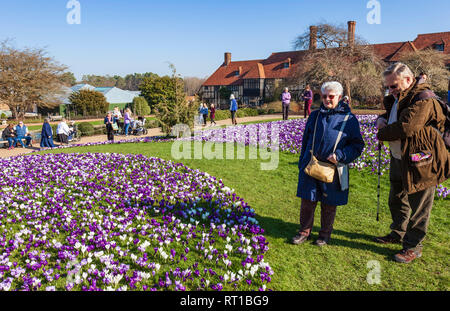 RHS Wisley Gardens, Surrey, England, UK. 27. Februar 2019. Menschenmassen strömen die Krokusse in ungewöhnlich warmen Frühlingssonne zu sehen. Quelle: Tony Watson/Alamy leben Nachrichten Stockfoto