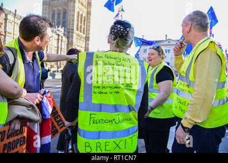 London, Großbritannien. 27 Feb, 2019. Pro Brexit Mitkämpfer gegenüber dem Unterhaus. Credit: Claire Doherty/Alamy leben Nachrichten Stockfoto