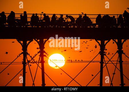 Aberystwyth Wales UK Mittwoch, den 27. Februar 2019. UK Wetter: Menschen am Meer Aberystwyth, wie die Sonne, die die meisten der sensationell heiß und sonnig, 'Winter' Wetter, während es dauert. Das Wetter Prognose zu starten ab morgen zu verschlechtern, mit mehr typische windig und kühler Anfang März Foto Keith Morris/Alamy Live Nachrichten erwartet Stockfoto