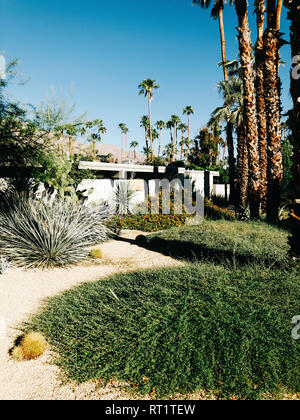 USA, Palm Springs, Garten vor des Midcentury moderne Architektur