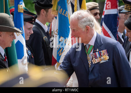 Gedenken an den 8. Mai in Lyon mit der königlichen Besuch des Prinzen von Wales und die Herzogin von Cornwall. In Anwesenheit von Gérard Collomb Minister für Stockfoto