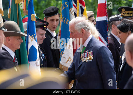 Gedenken an den 8. Mai in Lyon mit der königlichen Besuch des Prinzen von Wales und die Herzogin von Cornwall. In Anwesenheit von Gérard Collomb Minister für Stockfoto