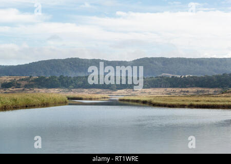 Aire Fluss in Cape Otway National Park, Victoria, Australien Stockfoto