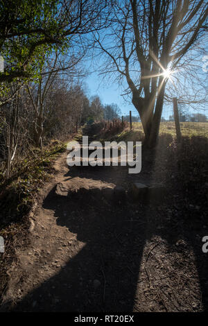 Abgenutzte land Wanderweg mit Stein Schritte in der North Yorkshire Moors, England, UK. Stockfoto
