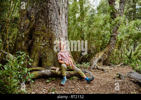 Chile, Puren, El Melado Nationalpark, lächelnde Junge an einem Baum im Wald suchen Stockfoto