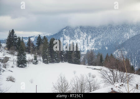 Winter Wald-, Berg- Landschaft im Winter, verschneite Bäume. Winter resort Smoljan, Bulgarien, Rhodopen Stockfoto