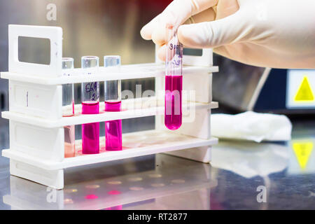 Reagenzglas stand, Durham Rohr in Zucker Medien demonstrieren die Gasproduktion durch Bakterien in der behandschuhten Hand hielt. Stockfoto