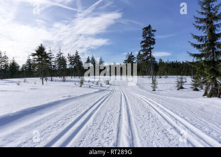 Winter Berglandschaft mit präparierten Loipe und blauer Himmel in sonniger Tag. Isergebirge, Umgebung von Jakuszyce, Polen. Stockfoto