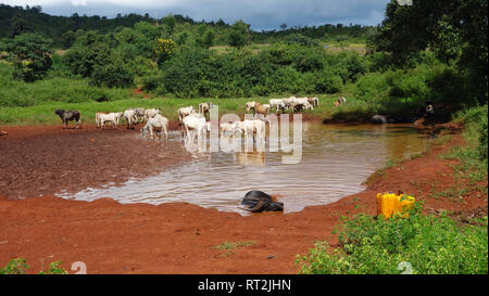 Myanmar, das Leben im ländlichen Raum Stockfoto