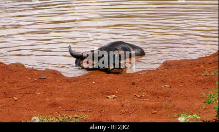 Myanmar, das Leben im ländlichen Raum Stockfoto