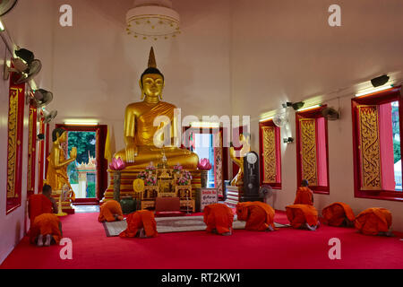 Mönche montiert für Abend Mediation und Gebet, niederwerfen vor einer Buddha-statue im Wat Mongkon "Nimit", Phuket, Phuket, Thailand Stockfoto