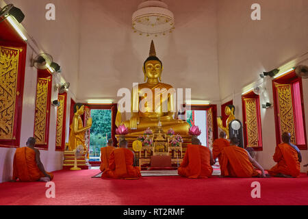 Mönche montiert für Abend Mediation und Gebet vor einer Buddha-statue im Wat Mongkon "Nimit", Phuket, Phuket, Thailand Stockfoto