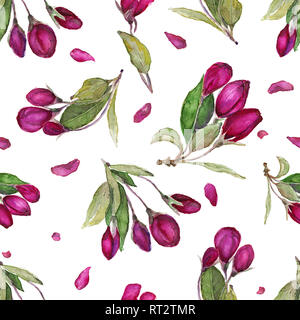 Aquarell nahtlose floralen Muster. Hand gezeichnet Blossom apple Blumen, auf weissem isoliert. Stockfoto