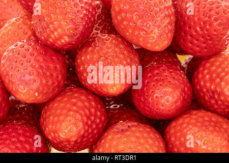 Frische Erdbeeren in einem Markt Stockfoto