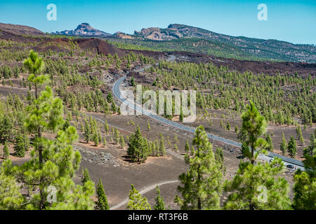 Bunter Blick auf den Nationalpark Teide auf Teneriffa Stockfoto