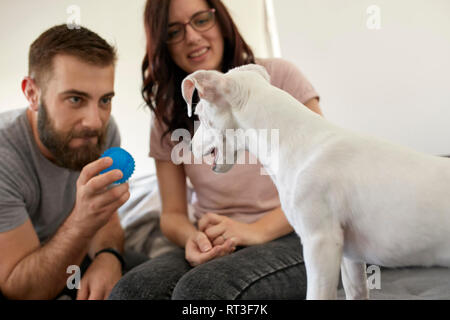 Paar spielen mit Hund zu Hause Stockfoto