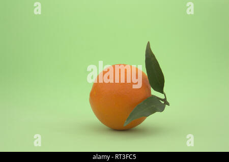 Nahaufnahme einer Orange mit zwei grünen Blätter auf einem hellgrünen Hintergrund isoliert Stockfoto