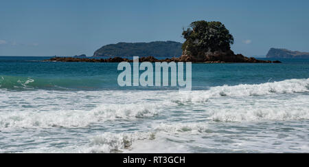 Coromandel beach Landschaft, North Island, Neuseeland Stockfoto