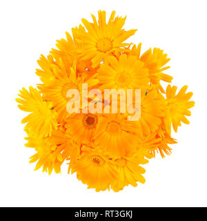 Ringelblume Blumenstrauß auf weißem Hintergrund Stockfoto