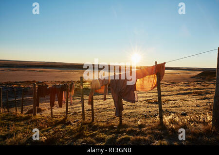 Chile, Feuerland, Kleidung heraus hängen auf einer Wäscheleine einer Estancia zu trocknen Stockfoto