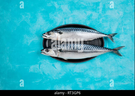 Kreative Gestaltung aus frisch gegarte Makrele. Mediterrane Fischgerichte Konzept. Platz kopieren, horizontale Ausrichtung. Stockfoto