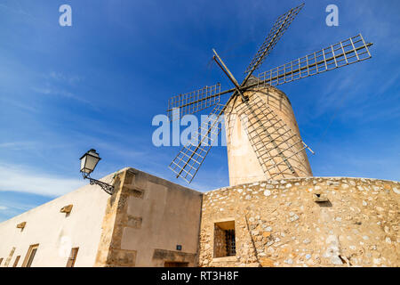 Historische Windmühle von Es Jonquet in der Altstadt von Palma de Mallorca, Mallorca, Balearen, Spanien Stockfoto