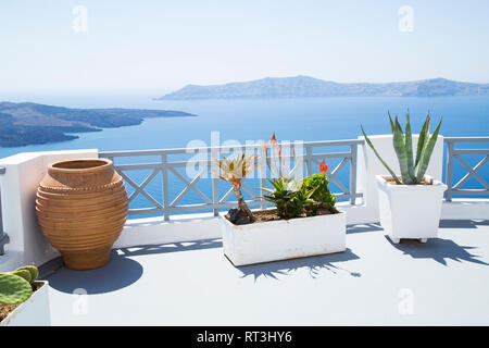 Terrasse mit mediterranen Blumen auf Santorini Insel Stockfoto