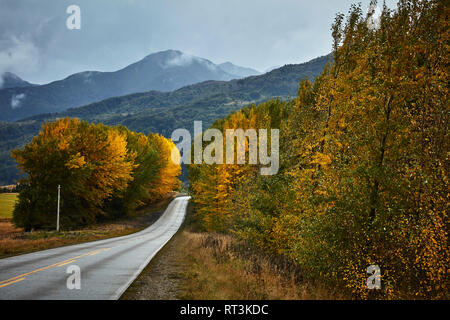 Chile, Puerto Aysen, Land Straße im Herbst Stockfoto