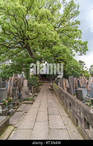 Taito Bezirk, Tokyo, Japan - 18. August 2017: Daioji Tempel und Friedhof. Nichiren Sekte des Buddhismus Tempel. Im Bezirk Yanaka Stockfoto