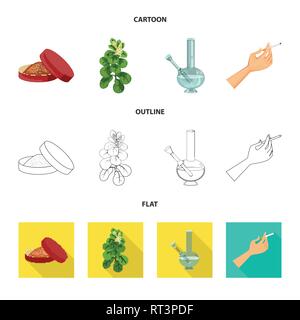 Schnupftabak, Blätter, Hookah, Hand, Lieferung, Blatt, Bong, arm, Box, Landwirtschaft, Halten, runde, botanische, Pause, Rauchen, Botanik, Rohr, schlecht, Behälter, Anlagen, Flasche, Feuer, Schaden, Risiko, Glas, Männer, Pulver, Art, Kapazität, Finger, verweigern, Stop, anti, Gewohnheit, Zigaretten, Tabak, Gesundheit, Nikotin, Rauchen, Statistiken, Set, Vector, Icon, Illustration, isoliert, Sammlung, Design, Element, Grafik, Vektor, Vektoren, Stock Vektor