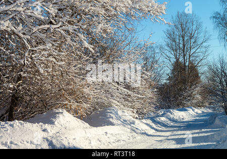 Winterdienst in Holz mit gefrorenen Baum auf Hintergrund blauer Himmel Stockfoto