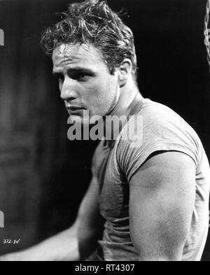 MARLON BRANDO als Stanley Kowalski eine Endstation Sehnsucht von Tennessee Williams von Elia Kazan 1951 Charles K Feldman Gruppe/Warner Bros geleitet Stockfoto