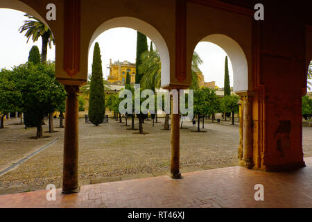 Innenhof in La Mezquita Cathedral in Cordoba, Andalusien, Spanien. Stockfoto