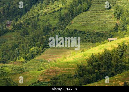 Longsheng Reisterrassen Landschaft in China. Stockfoto