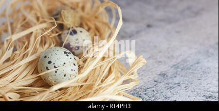 Raw Wachteleier im Heu. Landhausstil. Gruppe von frischen Wachteleiern auf Beton. Stockfoto