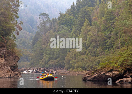 Floß auf den Franklin River Stockfoto