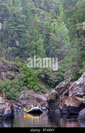 Floß auf den Franklin River Stockfoto