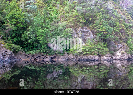 Reflexionen über den Franklin River Stockfoto