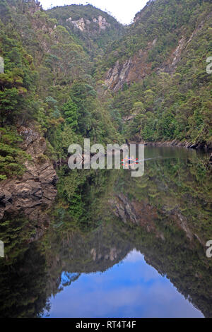 Floß bei Serenity Reach auf den Franklin River Stockfoto