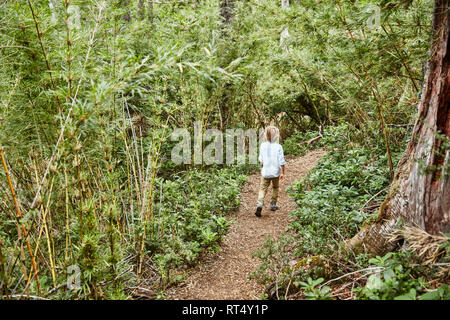 Chile, Puren, El Melado National Park, Junge zu Fuß auf dem Weg durch den Wald Stockfoto