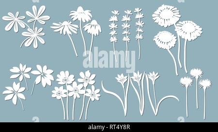 Echinacea, Kamille, schefler, edle Leberblümchen, zephyrantes, stokesia. Vector Illustration. Satz von Papier Blume, Aufkleber. Laser geschnitten. Set Vorlage für Stock Vektor