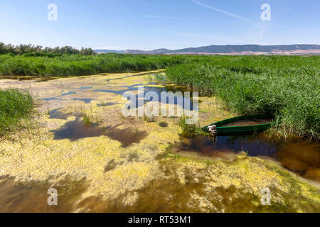 Tablas de Daimiel Nationalpark, La Mancha, Provinz Ciudad Real, Spanien Stockfoto