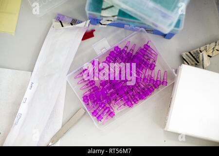 Rosa wissenschaftliche Kapseln / Rohre in einem Labor Stockfoto