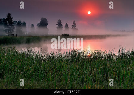 Sonnenlicht fällt durch die frühen Morgen Nebel über den Teich in Lee Metcalf National Wildlife Refuge Stockfoto