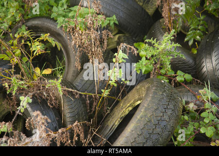 Alte Autoreifen gedumpten in Hecke in der Landschaft in Worcestershire, England Stockfoto