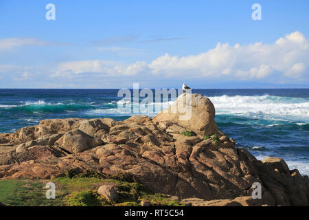 17 Mile Drive, felsigen Küste, Kieselstrand, Monterey Halbinsel, Pazifischer Ozean, Kalifornien, USA Stockfoto