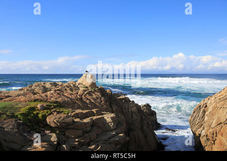 17 Mile Drive, felsigen Küste, Kieselstrand, Monterey Halbinsel, Pazifischer Ozean, Kalifornien, USA Stockfoto