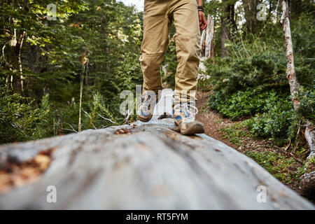 Chile, Puren, El Melado National Park, close-up der Boy gehen auf einem Baumstamm im Wald Stockfoto